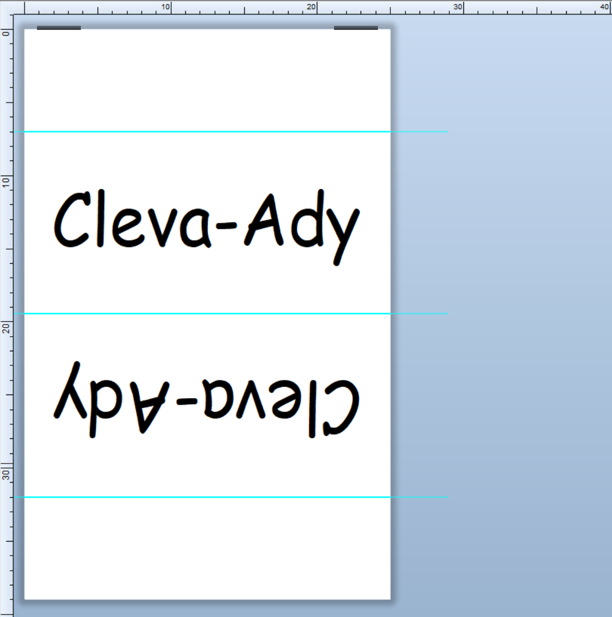 CUSTOM LABELS / Adrienne Nelson