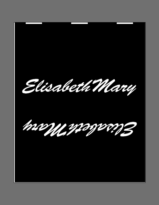 CUSTOM LABELS / Chloe Gillies