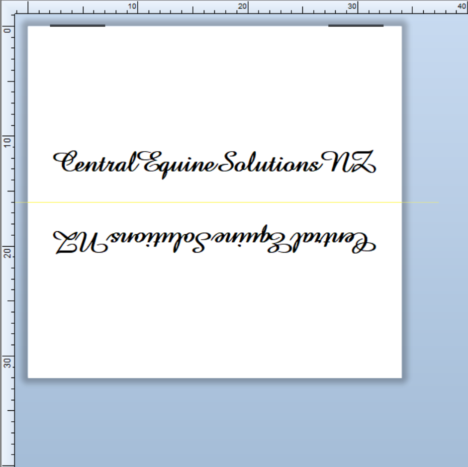 CUSTOM LABELS / Tui Willson