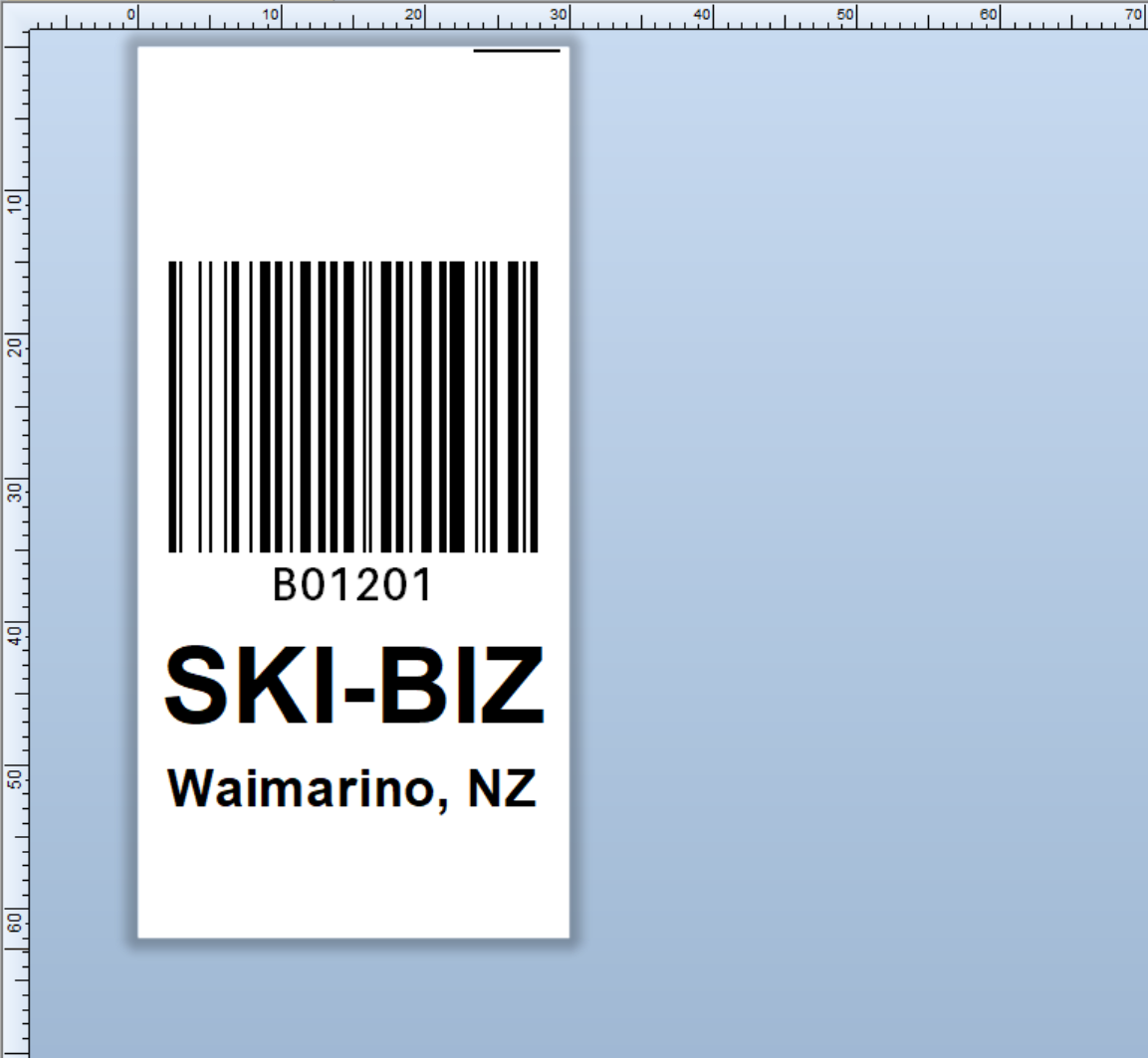 CUSTOM LABELS / SKI-BIZ