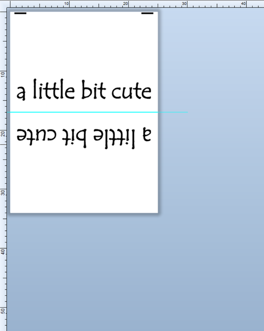 CUSTOM LABELS / Patrice McKenzie